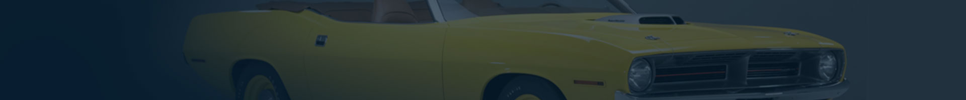 Page Banner