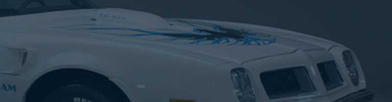 gallery Page Banner - Camaro